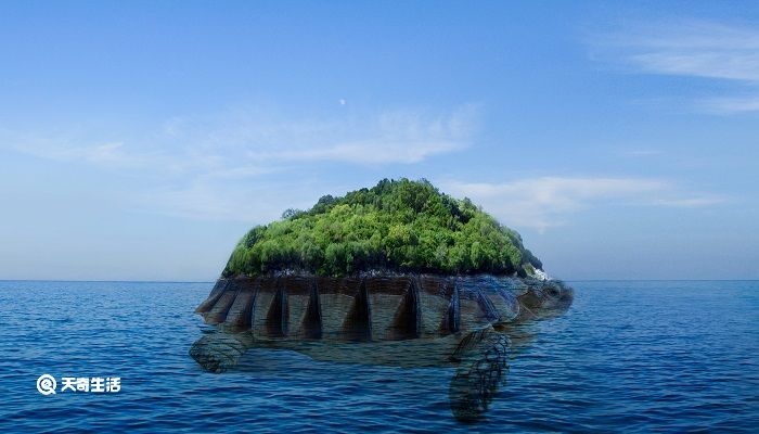 富饶的西沙群岛表达了作者什么感情 富饶的西沙群岛课文分析