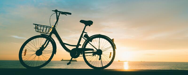 凤凰自行车和永久自行车哪一个好一点 永久自行车和凤凰自行车哪个质量好