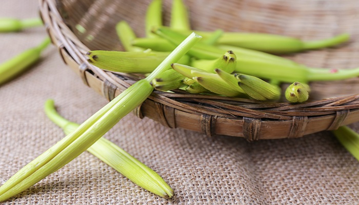 黄花菜有毒吗 黄花菜为什么有毒