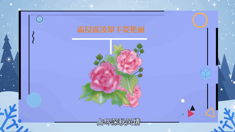 芙蓉花花语 芙蓉花花语是什么