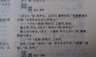 屮艸芔茻几个字怎么读啊 靝劢埊姩这四个字怎样读