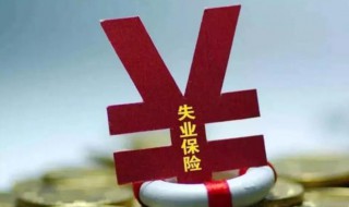 失业金是领保险金还是补助金（失业金是领保险金还是补助金好）