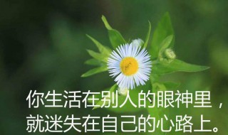 感悟人生句句精美 感悟人生的句子 经典 简短