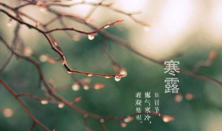 寒露节气短信（2018寒露节气短信祝福语录）