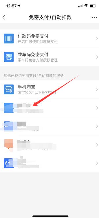 iPhone支付宝自动扣款怎么取消