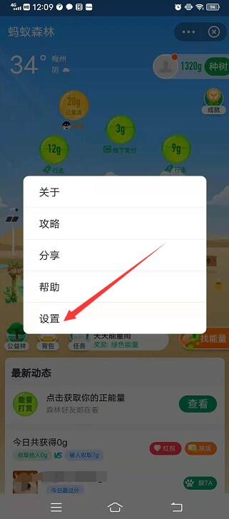 蚂蚁森林归隐山林是什么意思