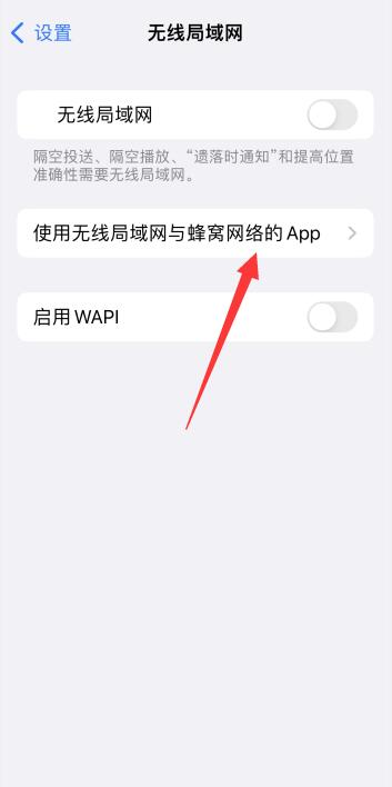 iPhone手机接入互联网以登录iPhone什么意思