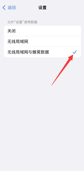 iPhone手机接入互联网以登录iPhone什么意思