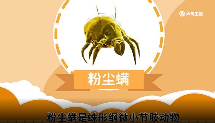 粉尘螨是什么东西 粉尘螨是什么东西呢