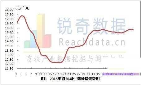 2013年第50周全国生猪价格震荡下跌 2013年生猪价格走势图