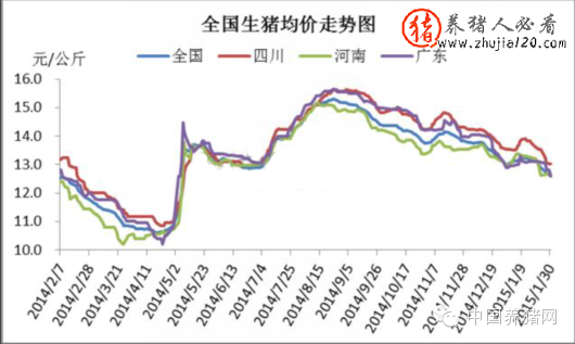 2015年1月国内生猪市场走势