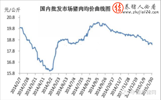 2015年1月国内猪肉价格走势