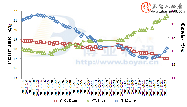 全国外三元生猪均价为12.11元/公斤 全国外三元生猪价格行情