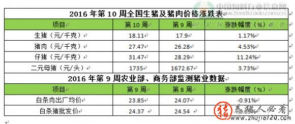 猪价持续反弹 猪价持续反弹什么意思