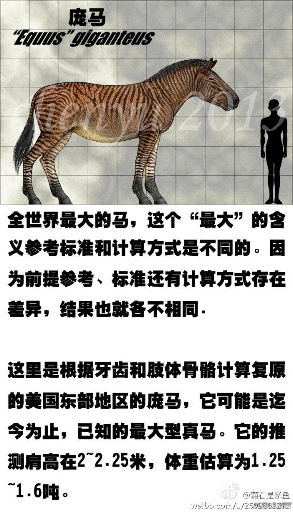 方舟生存进化新物种图鉴中英文对照图鉴 庞马资料图鉴 庞马(Equus magnus)