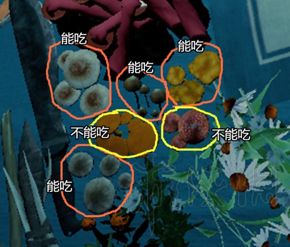 森林新手教程 森林新手开局推荐心得生存指南图文攻略 背景地图介绍