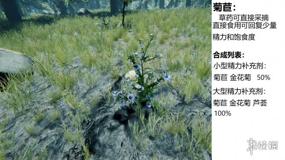 森林游戏植物有什么 the forest植物图鉴分享