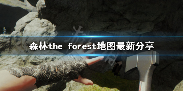 森林the（森林the forest）