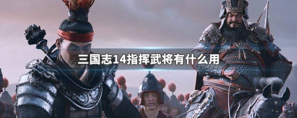 三国志14指挥武将有什么用（三国志14pk指挥武将）