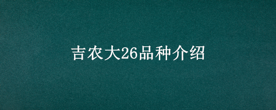 吉农大26品种介绍（吉农大26号）