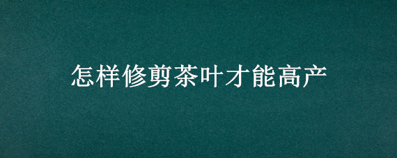 怎样修剪茶叶才能高产 怎样修剪茶叶才能高产呢