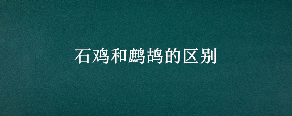 石鸡和鹧鸪的区别 石鸡和鹧鸪的区别图片