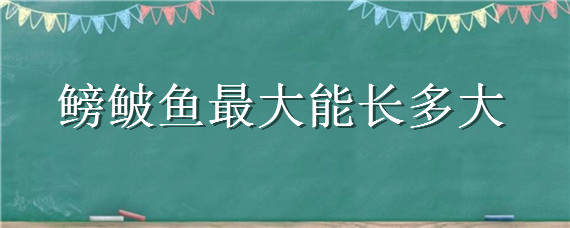 鳑鲏鱼最大能长多大（鳑鲏鱼最大能长多大?）