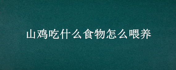 山鸡吃什么食物怎么喂养（山鸡吃啥食物）