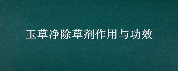 玉草净除草剂作用与功效 玉草净除草剂作用与功效是什么