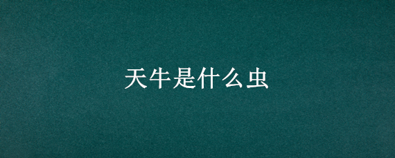 天牛是什么虫 天牛是什么虫子长什么样