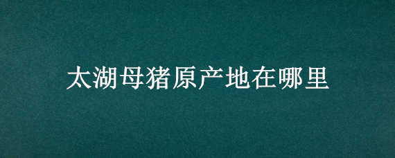 太湖母猪原产地在哪里（太湖母猪原产地在哪里啊）