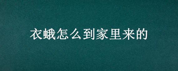 衣蛾怎么到家里来的 衣蛾是怎么到家里来的