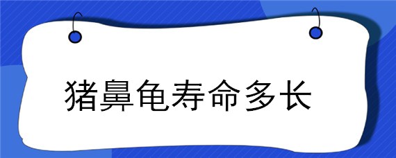 猪鼻龟寿命多长（猪鼻龟几年能长到30公分）