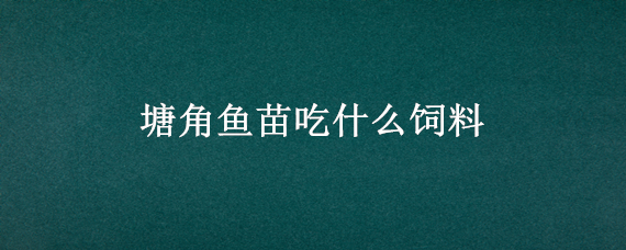 塘角鱼苗吃什么饲料（塘角鱼苗吃什么饲料最好）