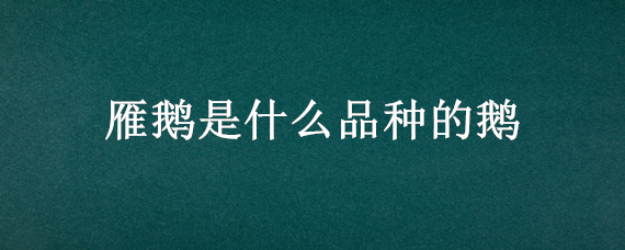 雁鹅是什么品种的鹅 雁鹅好吃还是白鹅好吃