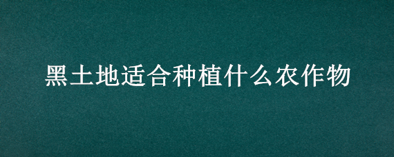 黑土地适合种植什么农作物 黑土地适合种植什么经济作物