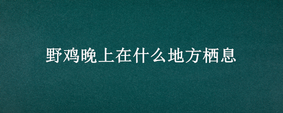 野鸡晚上在什么地方栖息（野鸡晚上几点放松警惕）