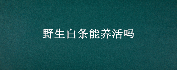 野生白条能养活吗（野生白条可以养殖吗）