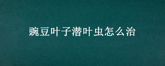 豌豆叶子潜叶虫怎么治 豌豆叶子潜叶虫怎么治好