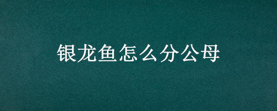 银龙鱼怎么分公母（银龙鱼怎么分公母图解大全）