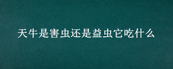 天牛是害虫还是益虫它吃什么（天牛是害虫还是益虫它吃什么食物）