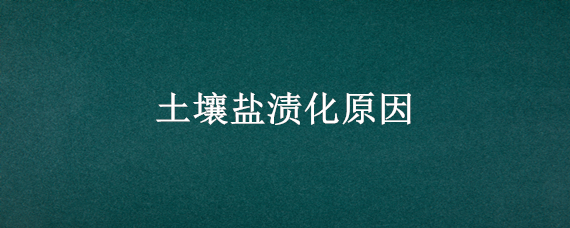 土壤盐渍化原因（土壤盐渍化原因与防治）