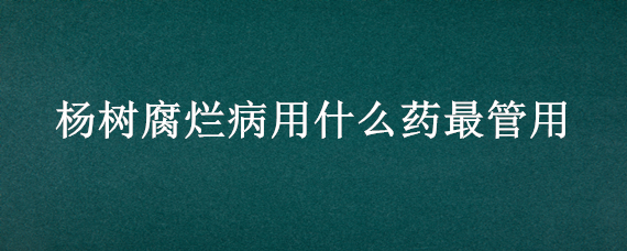 杨树腐烂病用什么药最管用 杨树腐烂病用什么药最管用呢视频