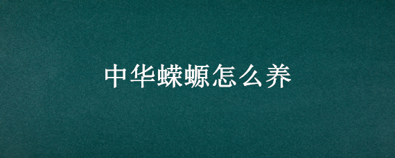 中华蝾螈怎么养 中华蝾螈怎么养的快