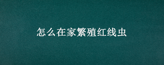 怎么在家繁殖红线虫（怎么在家繁殖红线虫呢）