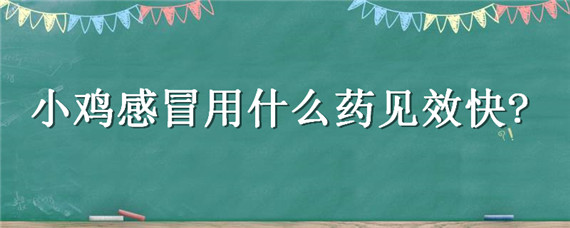 小鸡感冒用什么药见效快（小鸡感冒用什么药见效快点）