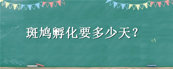 斑鸠孵化要多少天 斑鸠孵化要多少天能飞