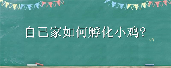 自己家如何孵化小鸡（自己家如何孵化小鸡仔）