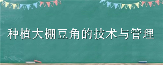 种植大棚豆角的技术与管理 种植大棚豆角的技术与管理视频