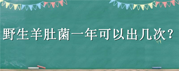 野生羊肚菌一年可以出几次 野生羊肚菌多长时间长大